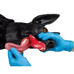 Simulateur de chien de travail militaire Erler Zimmer K9 Marshal
