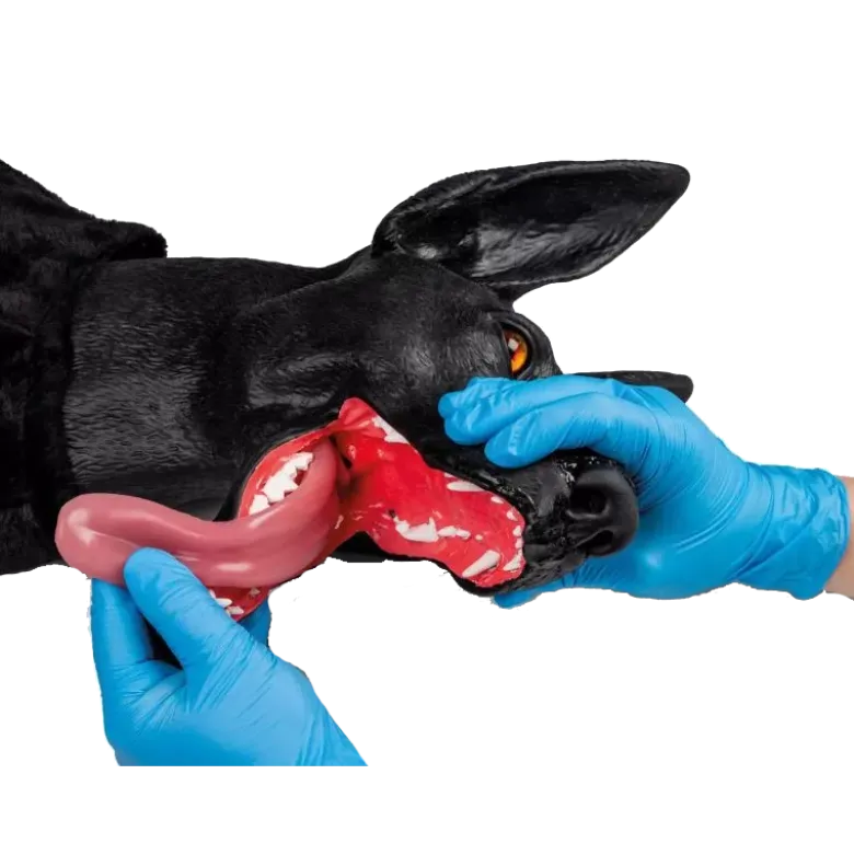 Simulateur de chien de travail militaire Erler Zimmer K9 Marshal