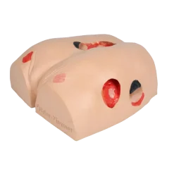 Simulateur d'escarres Erler Zimmer