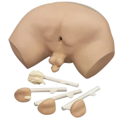 Simulateur d'examen de la prostate Erler Zimmer