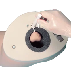 Simulateur d'examen de la prostate Erler Zimmer