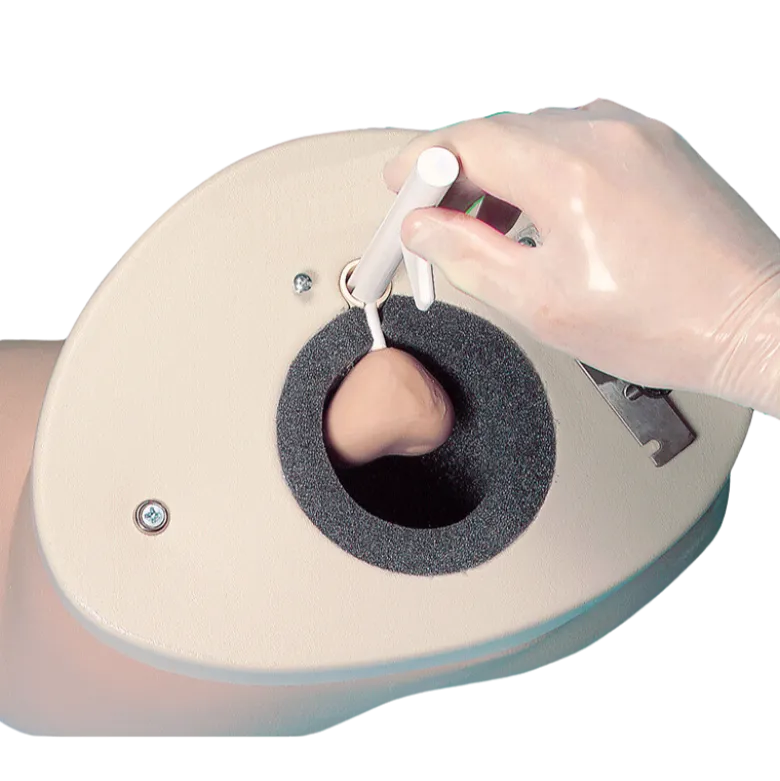 Simulateur d'examen de la prostate Erler Zimmer