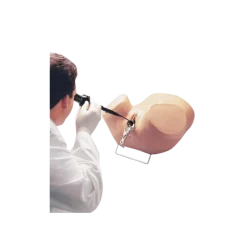 Simulateur d’Hystéroscopie Erler Zimmer