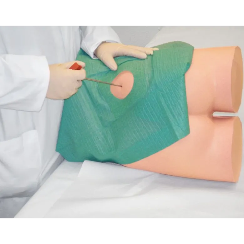 Simulateur d'injection intramusculaire et biopsie de la moelle osseuse
