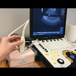 Simulateur d'injection sous échographie Erler Zimmer SonoEz