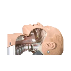 Simulateur d'intubation Ambu