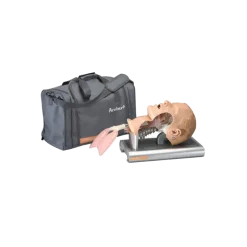 Simulateur d'intubation Ambu
