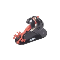 Simulateur d'intubation TruCorp AirSim