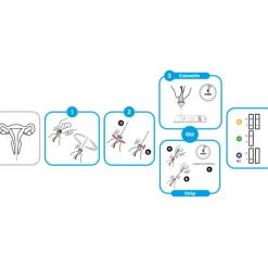 Test de diagnostic de la rupture des membranes fœtales Amniodiag 5 (Boite de 10)