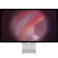 Vidéotoscope LED Firefly DE550 sans fil